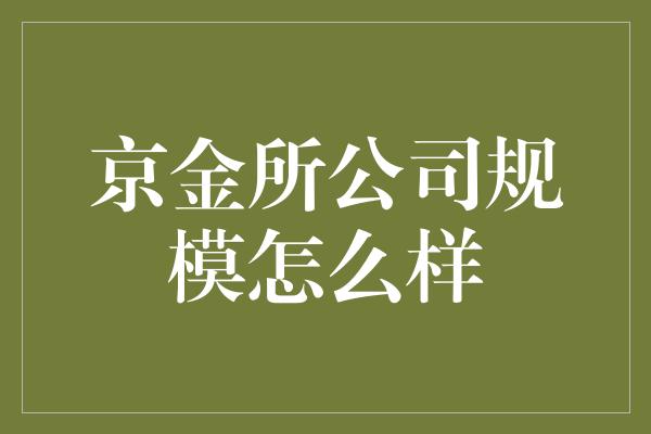 京金所公司规模怎么样