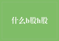 股市里的奇幻漂流记：揭秘B股H股那些事儿