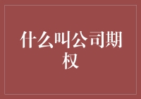 探索企业之舟上的期权舵手：理解公司期权