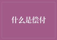 啥是偿付？别闹了，难道你真以为我懂这个！