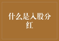 股东权益的落地实践：入股分红的多重考量与实际应用