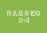 什么是养老险公司：构建老年生活保障网