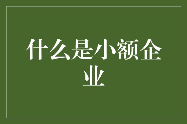 什么是小额企业