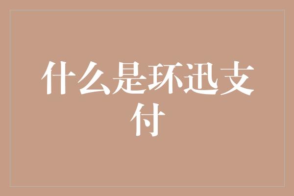 什么是环迅支付