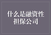 什么是融资性担保公司：企业的借贷保护伞