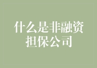 非融资担保公司：在风险与信任之间架桥的隐形英雄