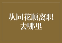 从同花顺离职后的职场新选择：以数据驱动的金融科技新篇章