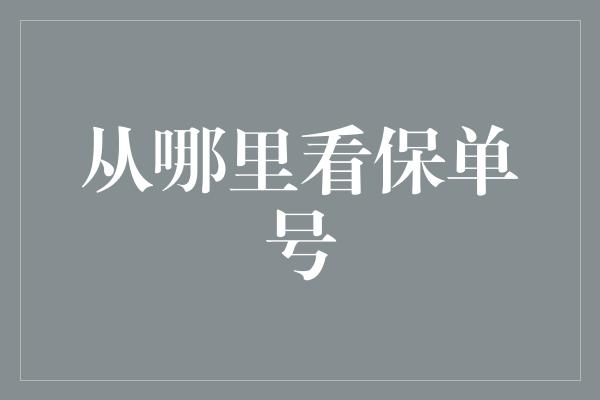 从哪里看保单号