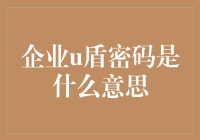 企业u盾密码是个啥？新手的疑惑大解答！