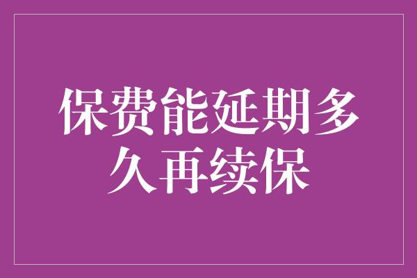 保费能延期多久再续保