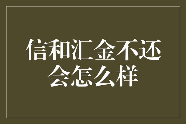 信和汇金不还会怎么样