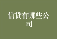 信贷公司：在金融领域中的多元选择