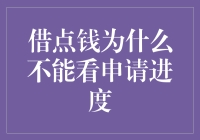 借点钱为什么不能实时查看申请进度？探索背后的深层原因与解决方案