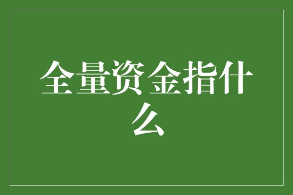 全量资金指什么