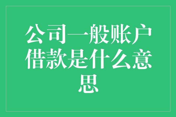 公司一般账户借款是什么意思