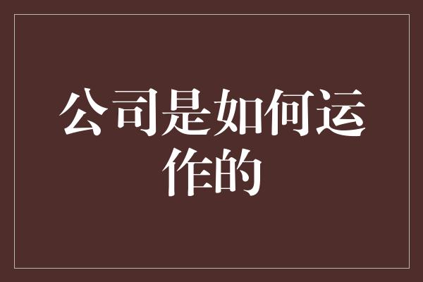 公司是如何运作的