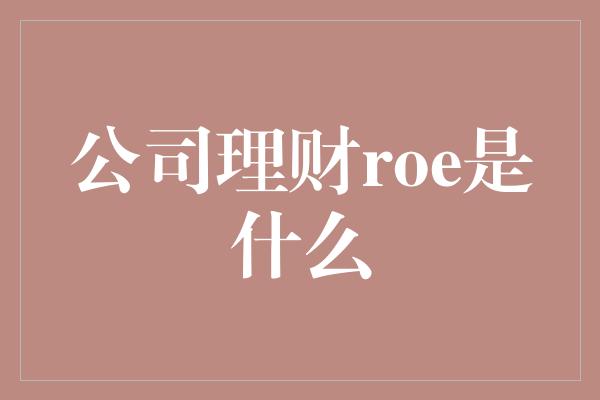 公司理财roe是什么