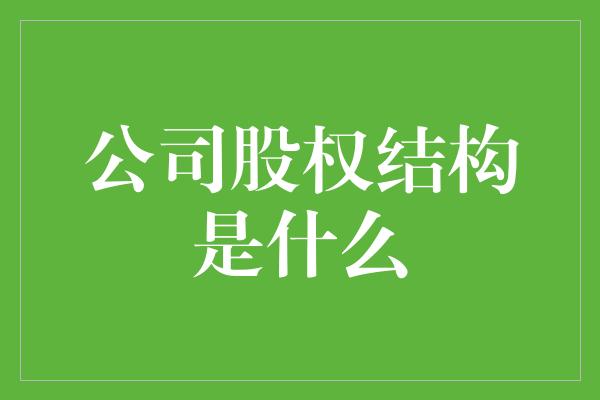 公司股权结构是什么