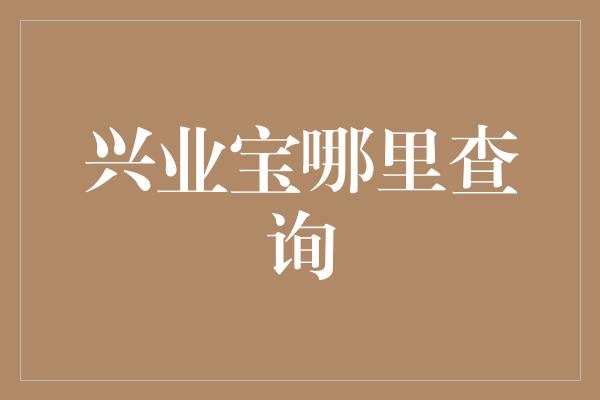 兴业宝哪里查询