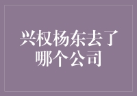 兴权杨东：从草根到总裁的奇妙旅程