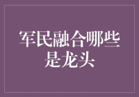 军民融合，谁是那只领头羊？