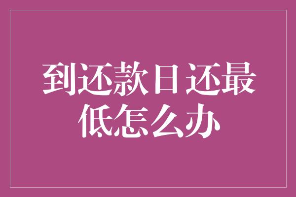 到还款日还最低怎么办