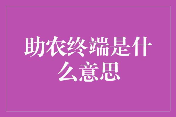 助农终端是什么意思