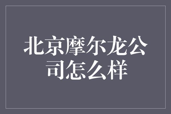 北京摩尔龙公司怎么样