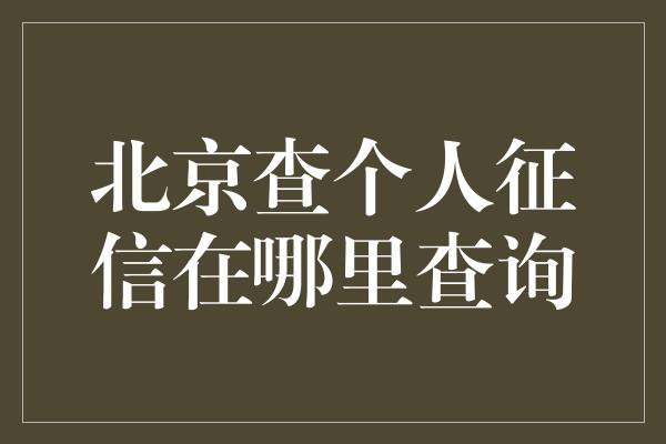 北京查个人征信在哪里查询