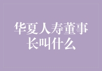 华夏人寿的董事长及其领导下的企业运营：一个企业的灵魂人物