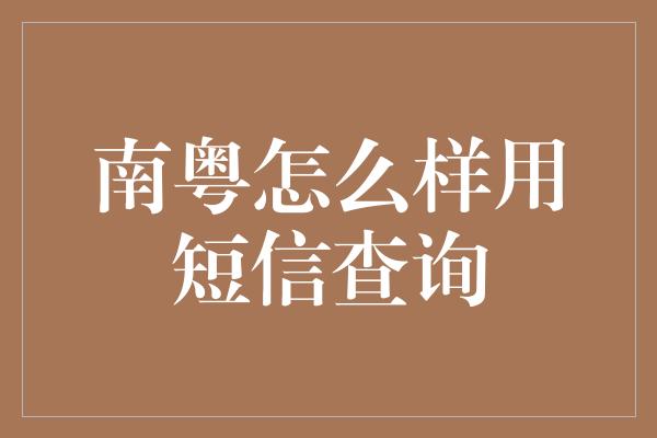 南粤怎么样用短信查询