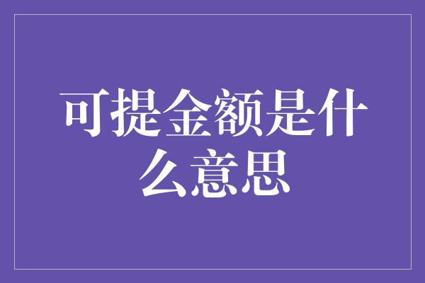 可提金额是什么意思