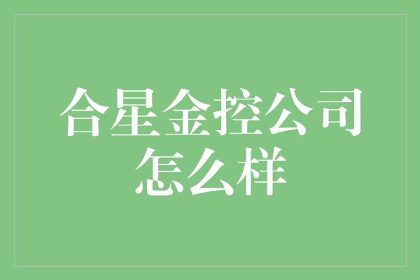 合星金控公司怎么样