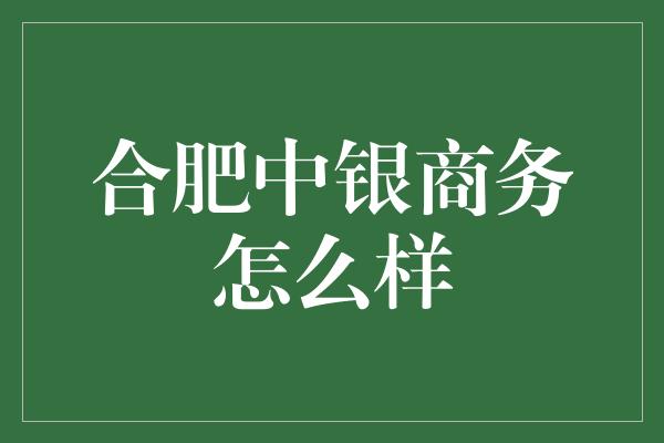 合肥中银商务怎么样