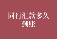 同行汇款到账？快赶上蜗牛爬行的速度了！