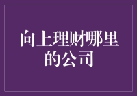 向上理财投资公司：构建个人财富的新选择