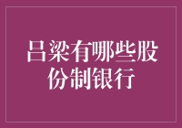 吕梁市区股份制银行概述与分析