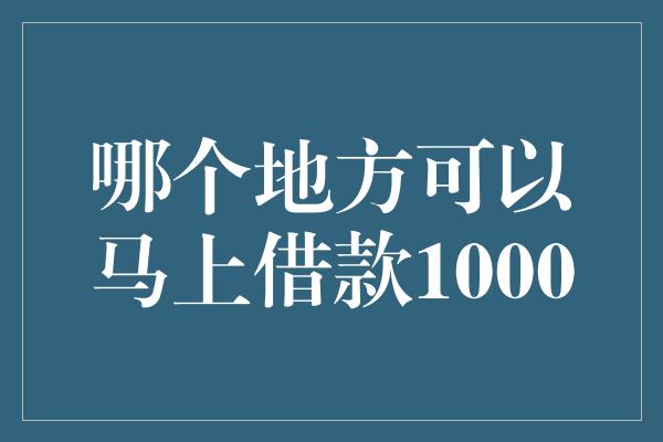 哪个地方可以马上借款1000