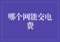 哪个网能交电费？一招教你轻松解决！