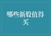 2023年度哪些新股值得购买：投资策略与潜在风险分析