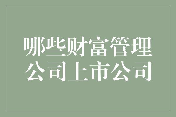 哪些财富管理公司上市公司