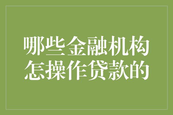 哪些金融机构怎操作贷款的