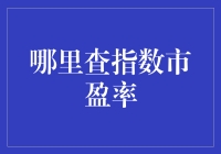 我的指数市盈率查询攻略：不让数据把人变成机器人