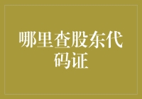 证券市场股东代码证查询攻略：全面指南