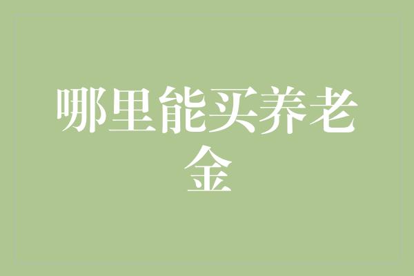 哪里能买养老金