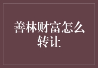 善林财富转让案例分享：个人投资理财的智慧选择