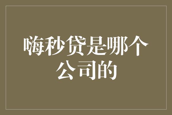 嗨秒贷是哪个公司的