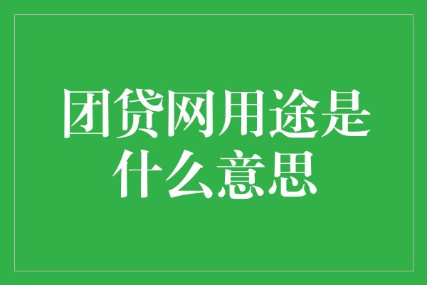 团贷网用途是什么意思