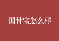 国付宝：高效便捷的支付解决方案，助力企业腾飞