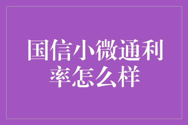 国信小微通利率怎么样